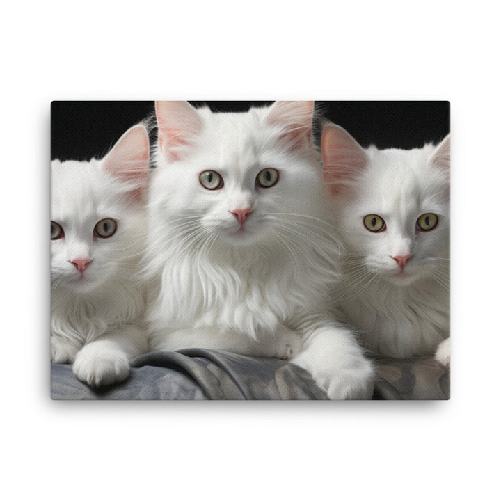 Turkish Angora Canvas - PosterfyAI.com