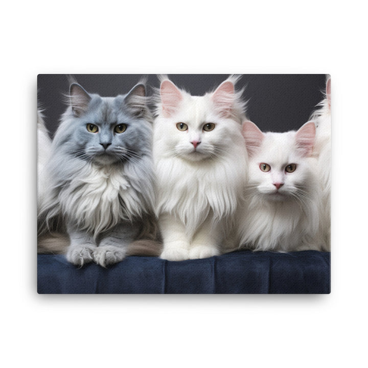 Turkish Angora Canvas - PosterfyAI.com