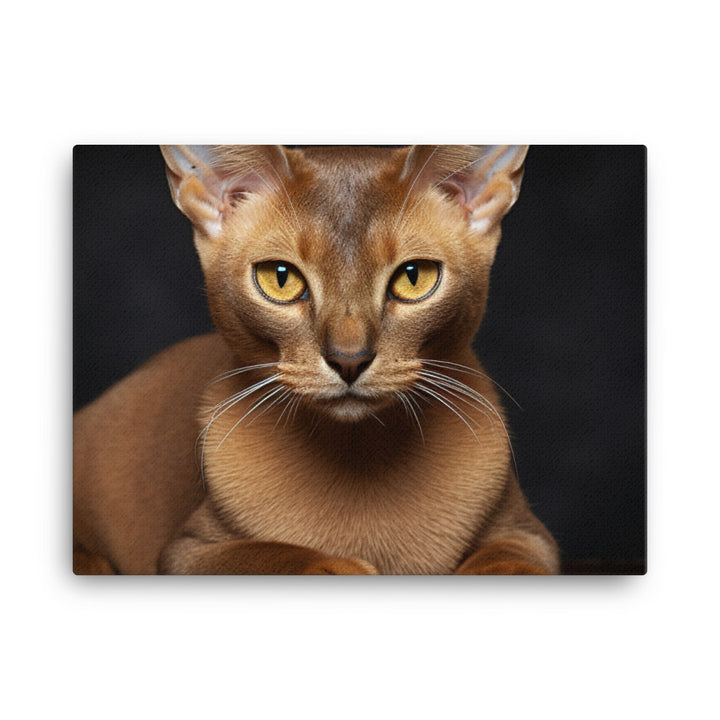 Burmese Canvas - PosterfyAI.com