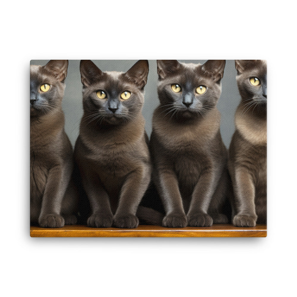 Burmese Canvas - PosterfyAI.com