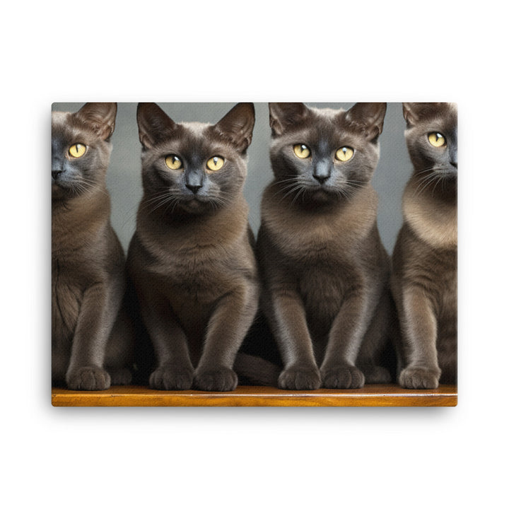 Burmese Canvas - PosterfyAI.com