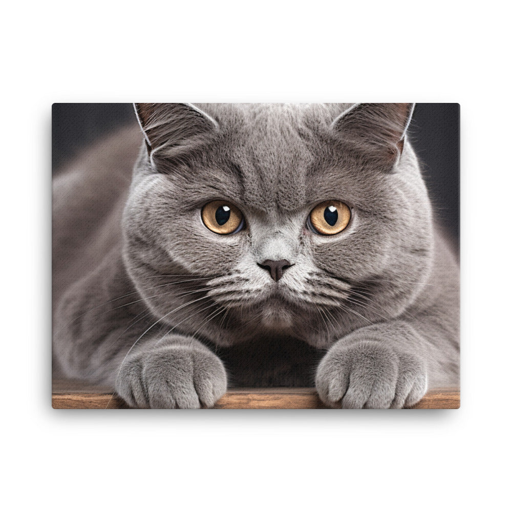 British Shorthair Canvas - PosterfyAI.com