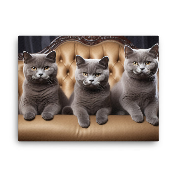 British Shorthair Canvas - PosterfyAI.com