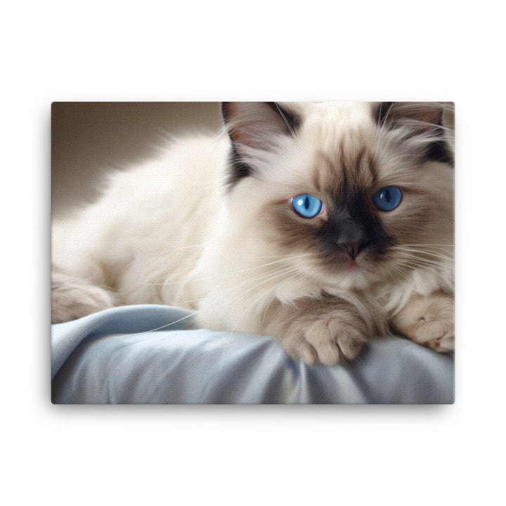 Birman Canvas - PosterfyAI.com