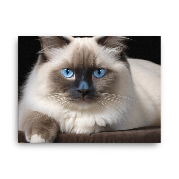 Birman Canvas - PosterfyAI.com