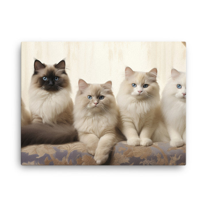 Birman Canvas - PosterfyAI.com