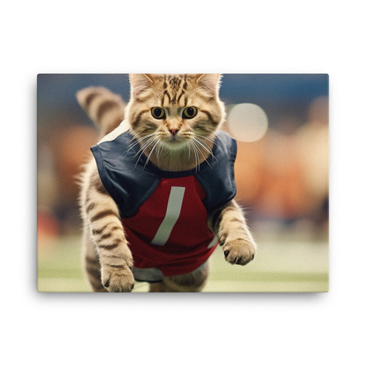 Scottish Fold Football Player Canvas - PosterfyAI.com
