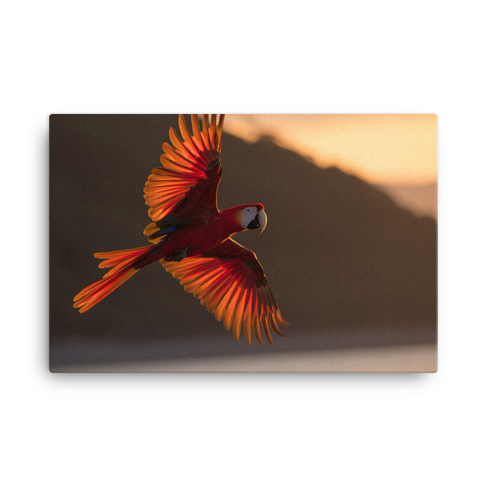 Scarlet Macaw flying over a beach at sunset canvas - Posterfy.AI