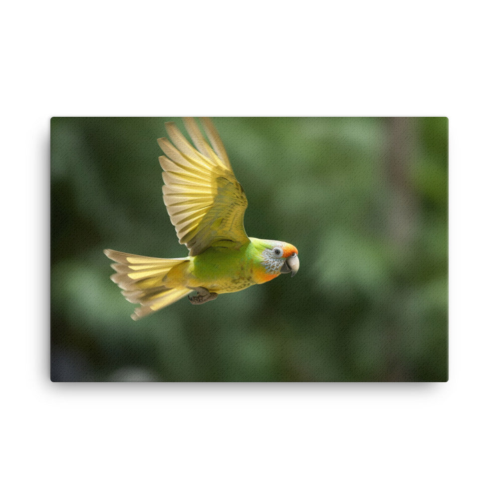 A Conure in mid flight canvas - Posterfy.AI