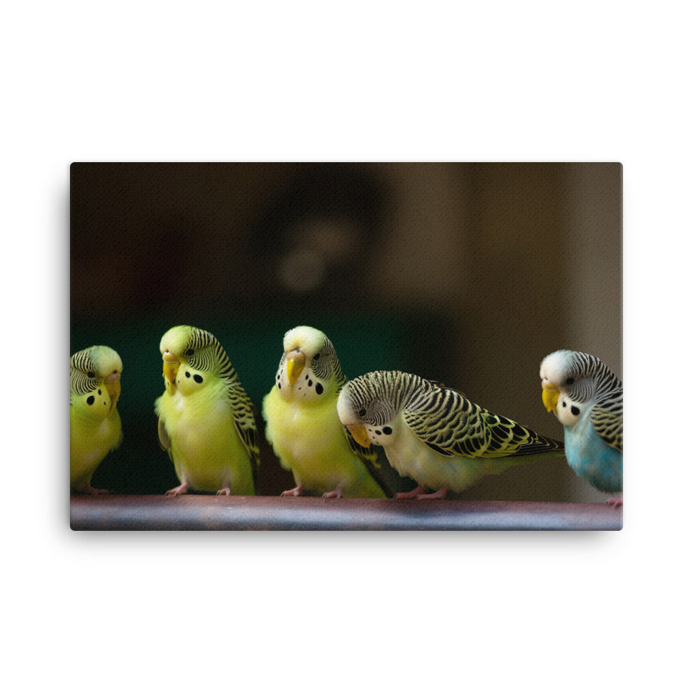 A Common and Sociable Pet Parakeet canvas - Posterfy.AI