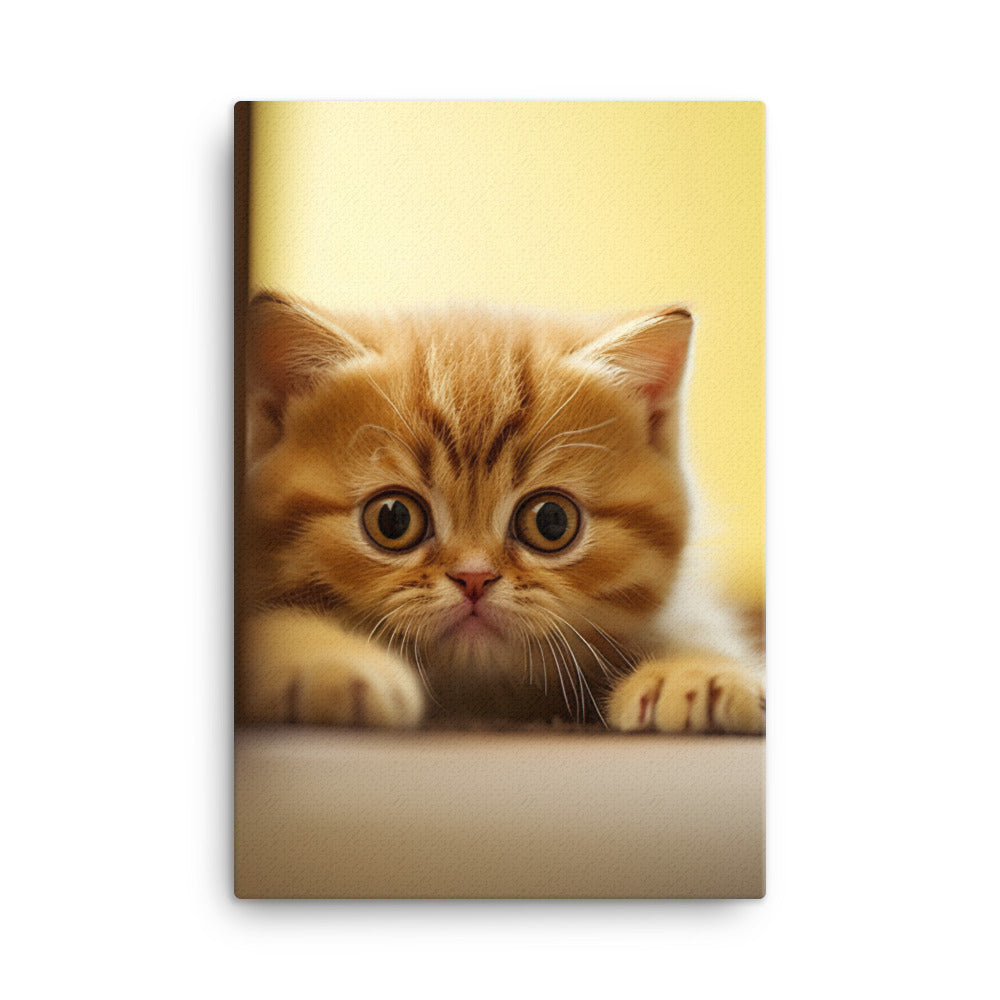 Exotic Shorthair Kitten Canvas - PosterfyAI.com
