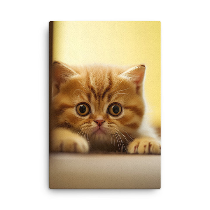 Exotic Shorthair Kitten Canvas - PosterfyAI.com