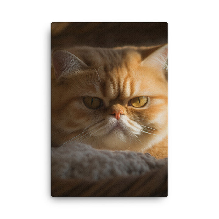 Exotic Shorthair Cat Canvas - PosterfyAI.com