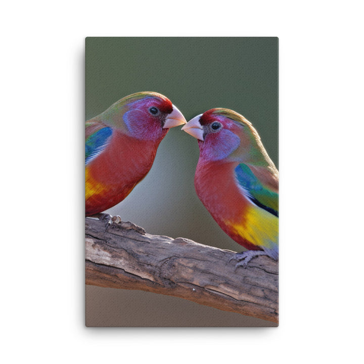 Rainbow Finches in the Wild Canvas - PosterfyAI.com