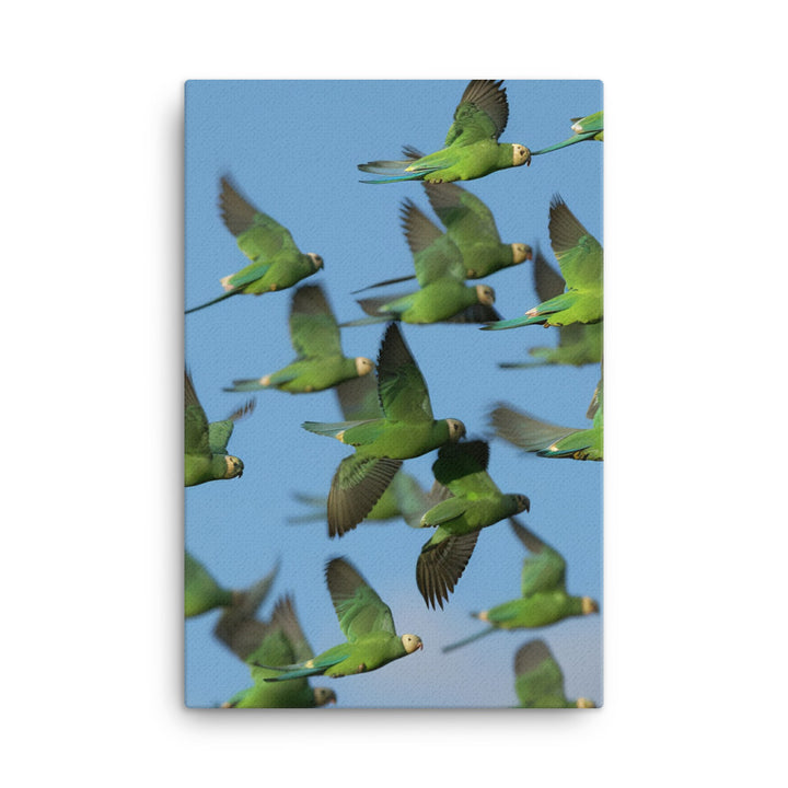 Parakeet Flight Canvas - PosterfyAI.com