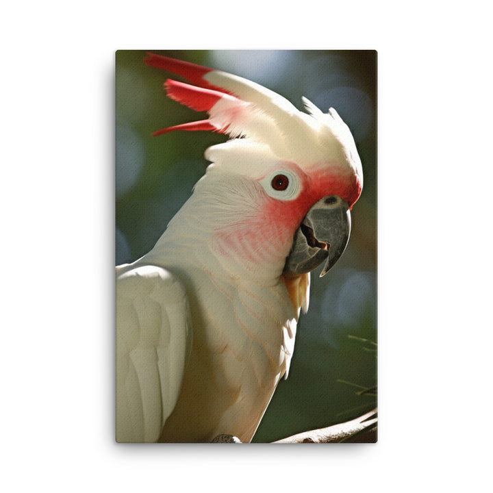 Moluccan Cockatoo Canvas - PosterfyAI.com
