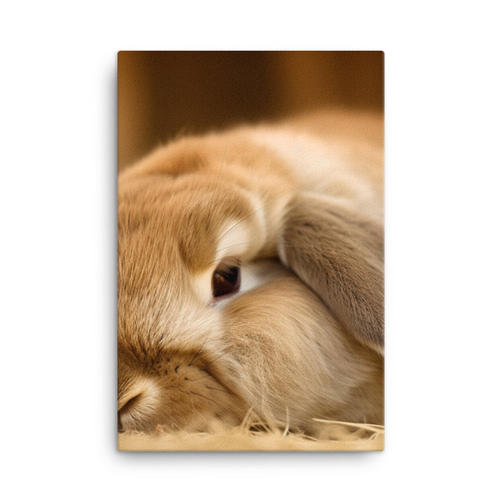 Holland Lop Canvas - PosterfyAI.com
