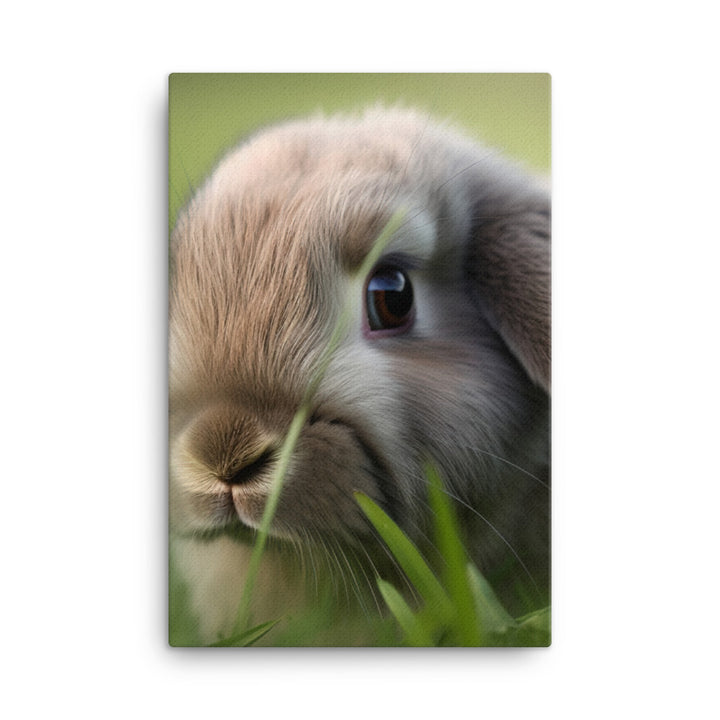 Holland Lop Canvas - PosterfyAI.com