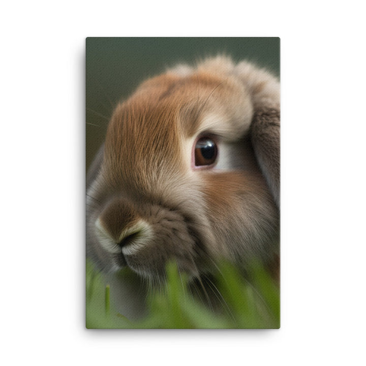 Holland Lop Canvas - PosterfyAI.com