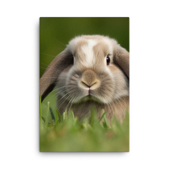 Holland Lop Canvas - PosterfyAI.com