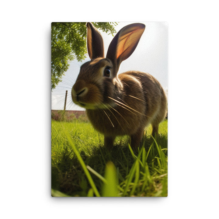 Flemish Giant Rabbit Outdoors Canvas - PosterfyAI.com