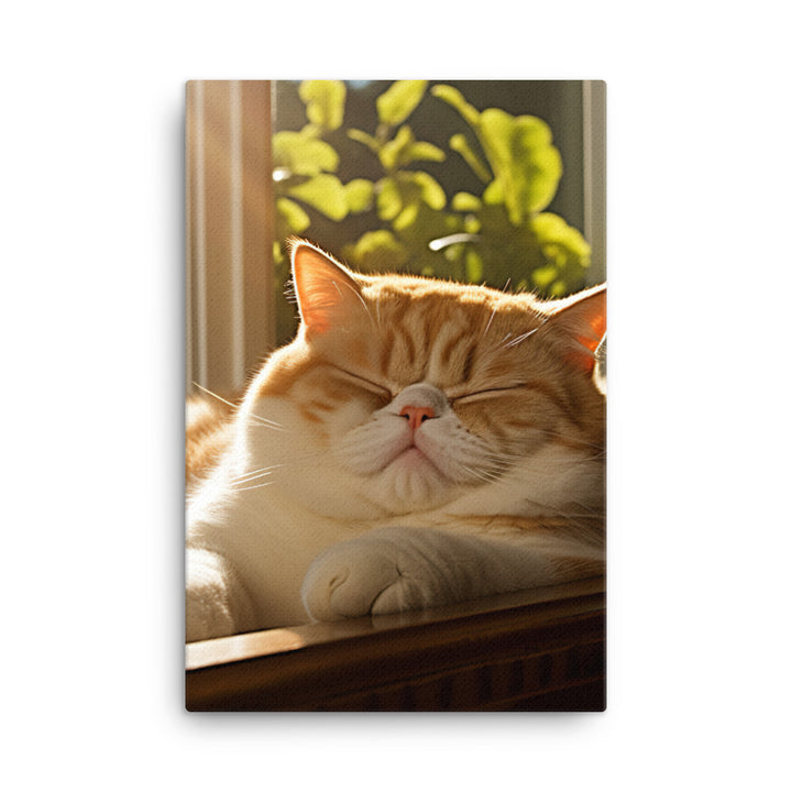 Exotic Shorthair Cat Napping Canvas - PosterfyAI.com