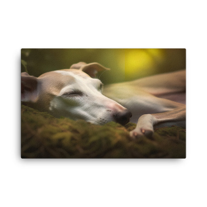 Whippet Beauty Sleep canvas - Posterfy.AI