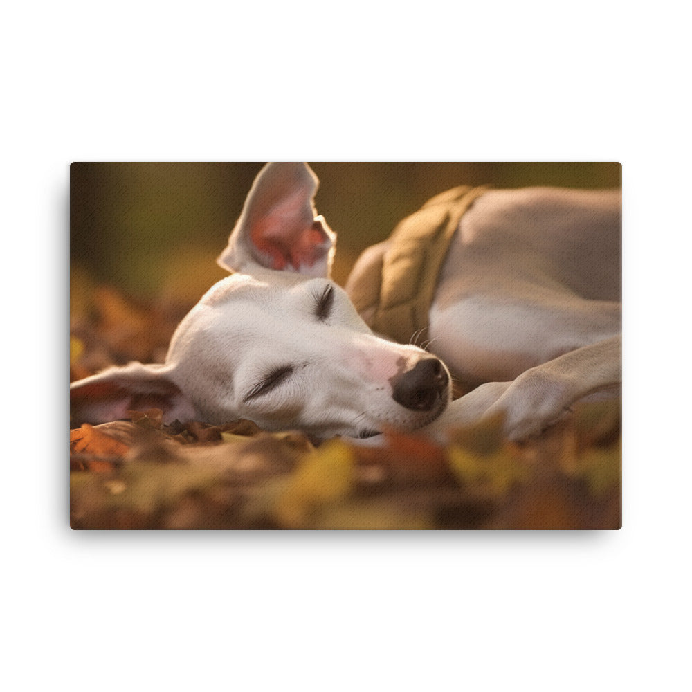 Whippet Beauty Sleep canvas - Posterfy.AI