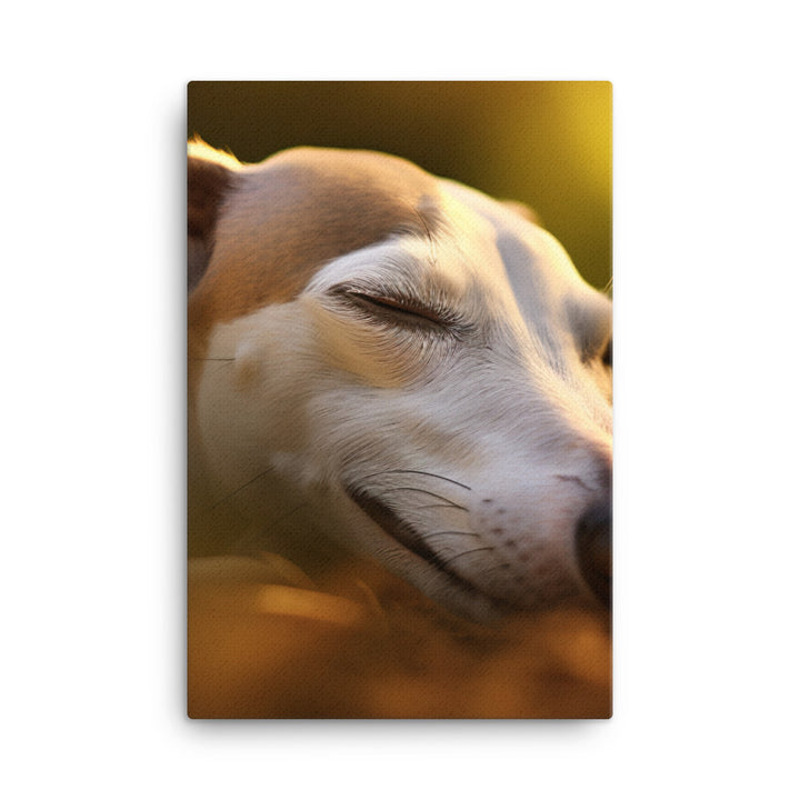 Whippet Beauty Sleep Canvas - PosterfyAI.com