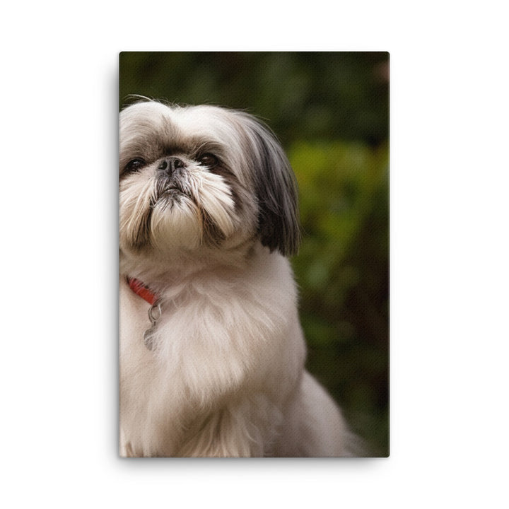 Regal Shih Tzu Posing in the Garden Canvas - PosterfyAI.com