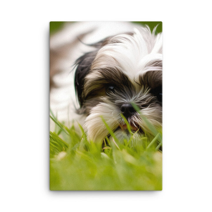 Playful Shih Tzu Enjoying the Outdoors Canvas - PosterfyAI.com
