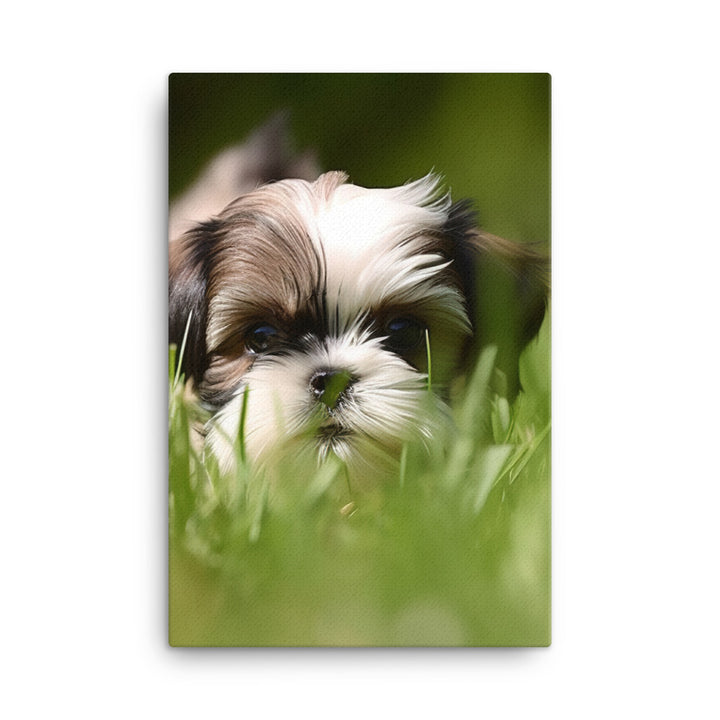 Playful Shih Tzu Enjoying the Outdoors Canvas - PosterfyAI.com