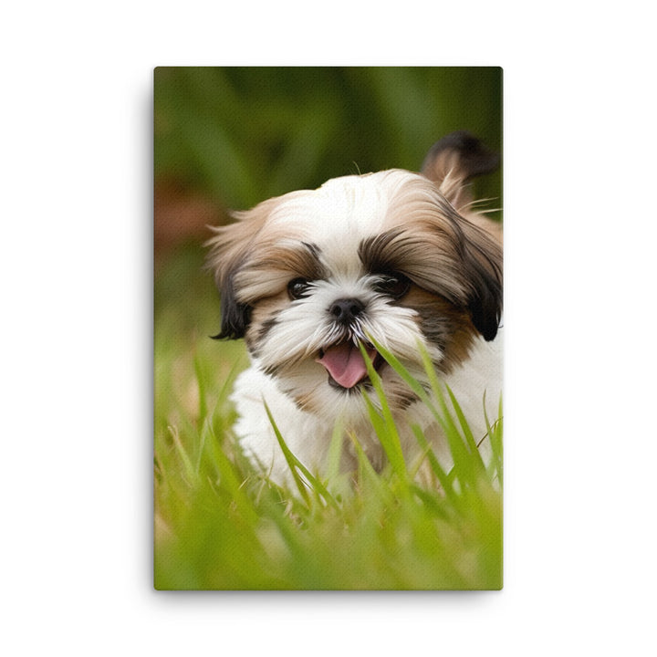 Playful Shih Tzu Enjoying the Outdoors Canvas - PosterfyAI.com