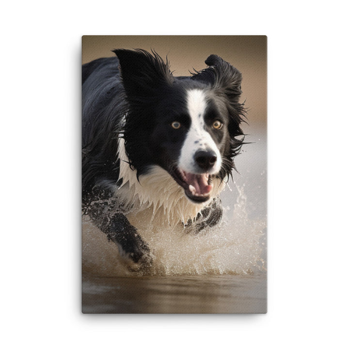 Energetic Border Collie in Action Canvas - PosterfyAI.com