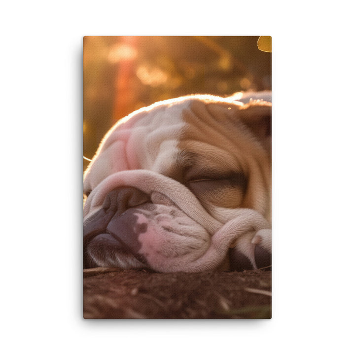 Cute Bulldog in the Sun Canvas - PosterfyAI.com
