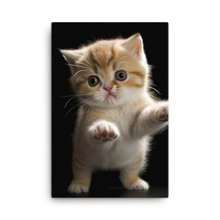 Exotic Shorthair Kitten Canvas - PosterfyAI.com