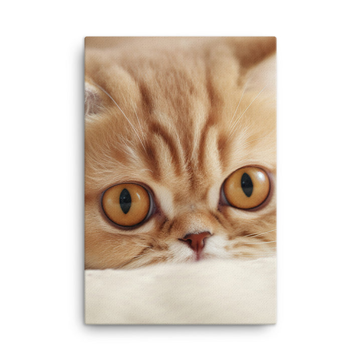 Exotic Shorthair Kitten Canvas - PosterfyAI.com