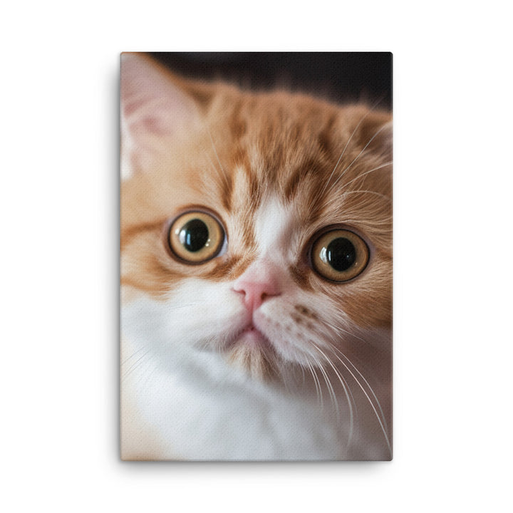 Exotic Shorthair Kitten Canvas - PosterfyAI.com