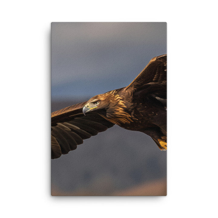 Golden Eagle soaring high in the sky Canvas - PosterfyAI.com