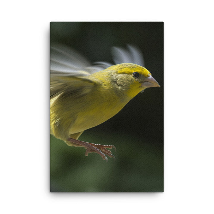 Canary in flight Canvas - PosterfyAI.com