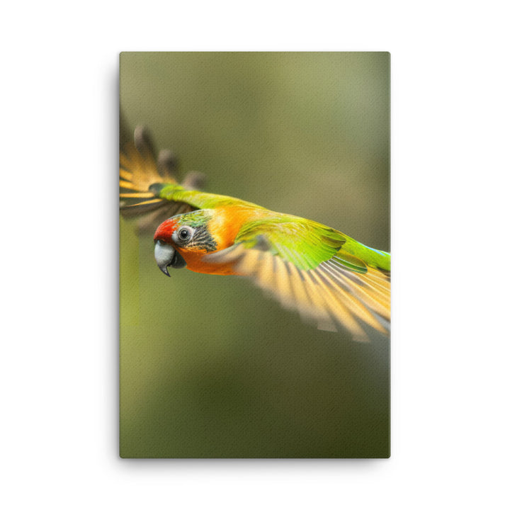 A Conure in mid flight Canvas - PosterfyAI.com
