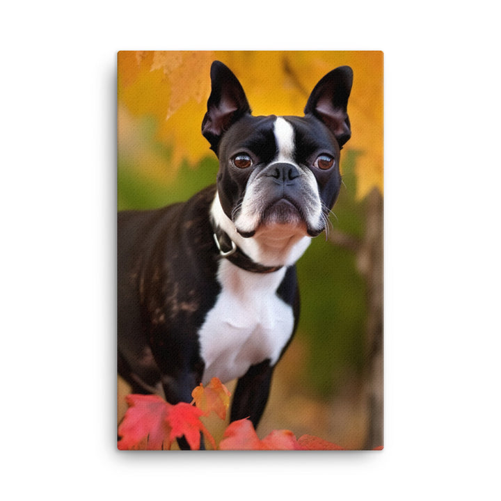 Boston Terrier with Fall Colors Canvas - PosterfyAI.com