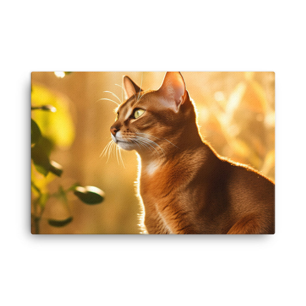 Abyssinian Cat Basking canvas - Posterfy.AI