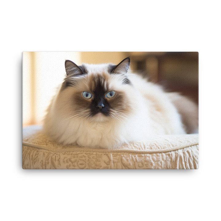 Himalayan Cats Regal Stare canvas - Posterfy.AI