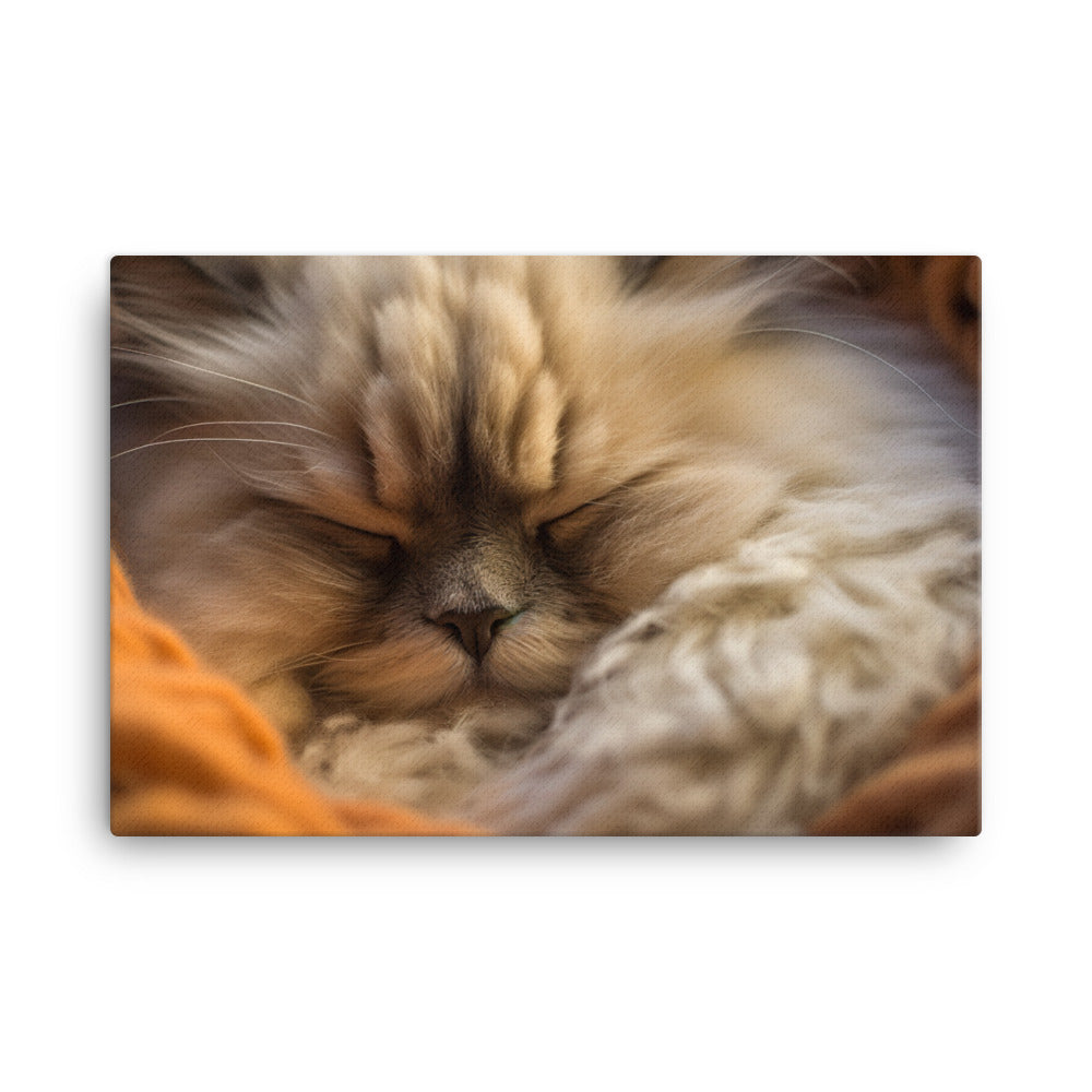 Himalayan Cats Cozy Naptime canvas - Posterfy.AI