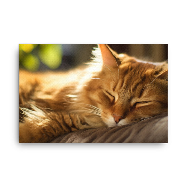 Somali Cat Napping canvas - Posterfy.AI