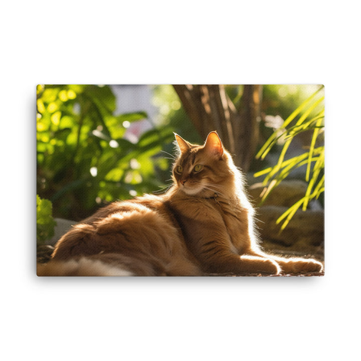 Graceful Somali Cat canvas - Posterfy.AI