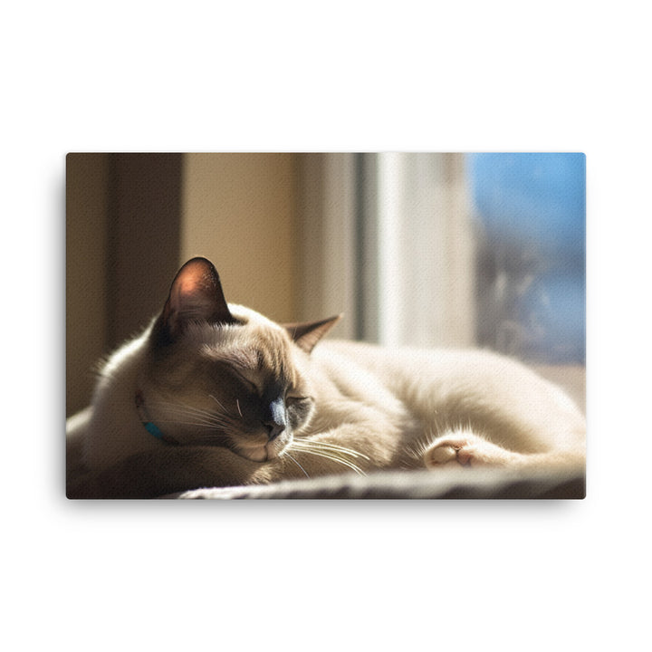 Sleeping Siamese on a Windowsill canvas - Posterfy.AI