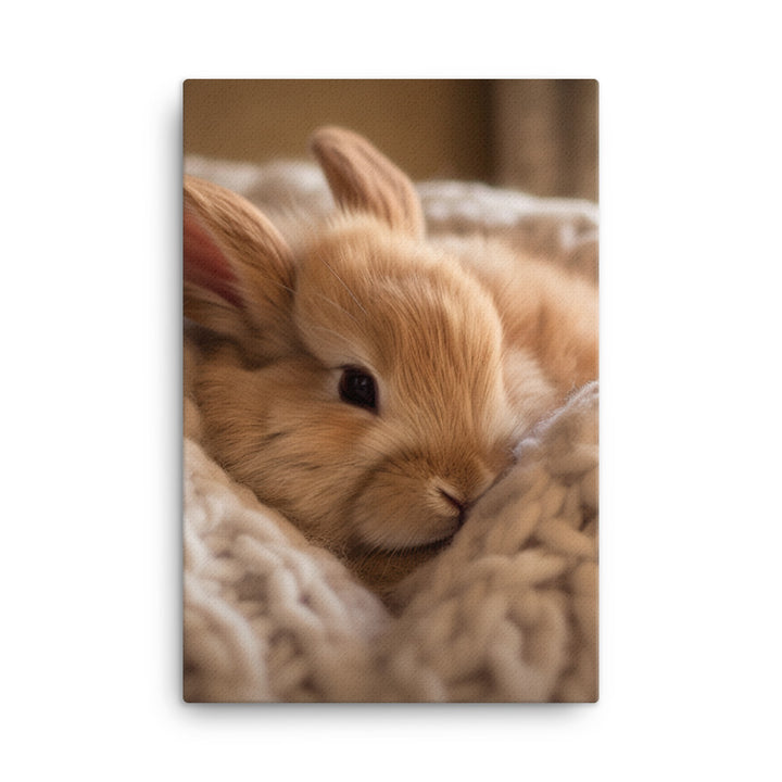 Jersey Wooly Bunny in a Cozy Setting Canvas - PosterfyAI.com