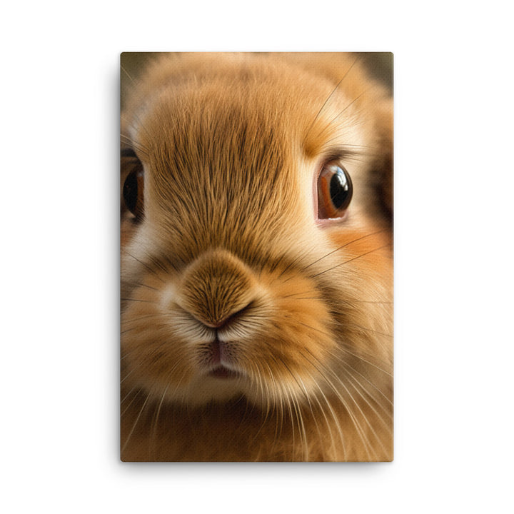 Charming Holland Lop Bunny Canvas - PosterfyAI.com